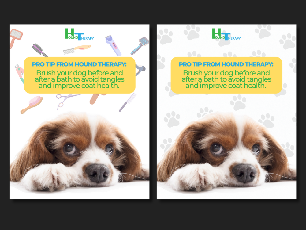 Hound Therapy Sample Post
